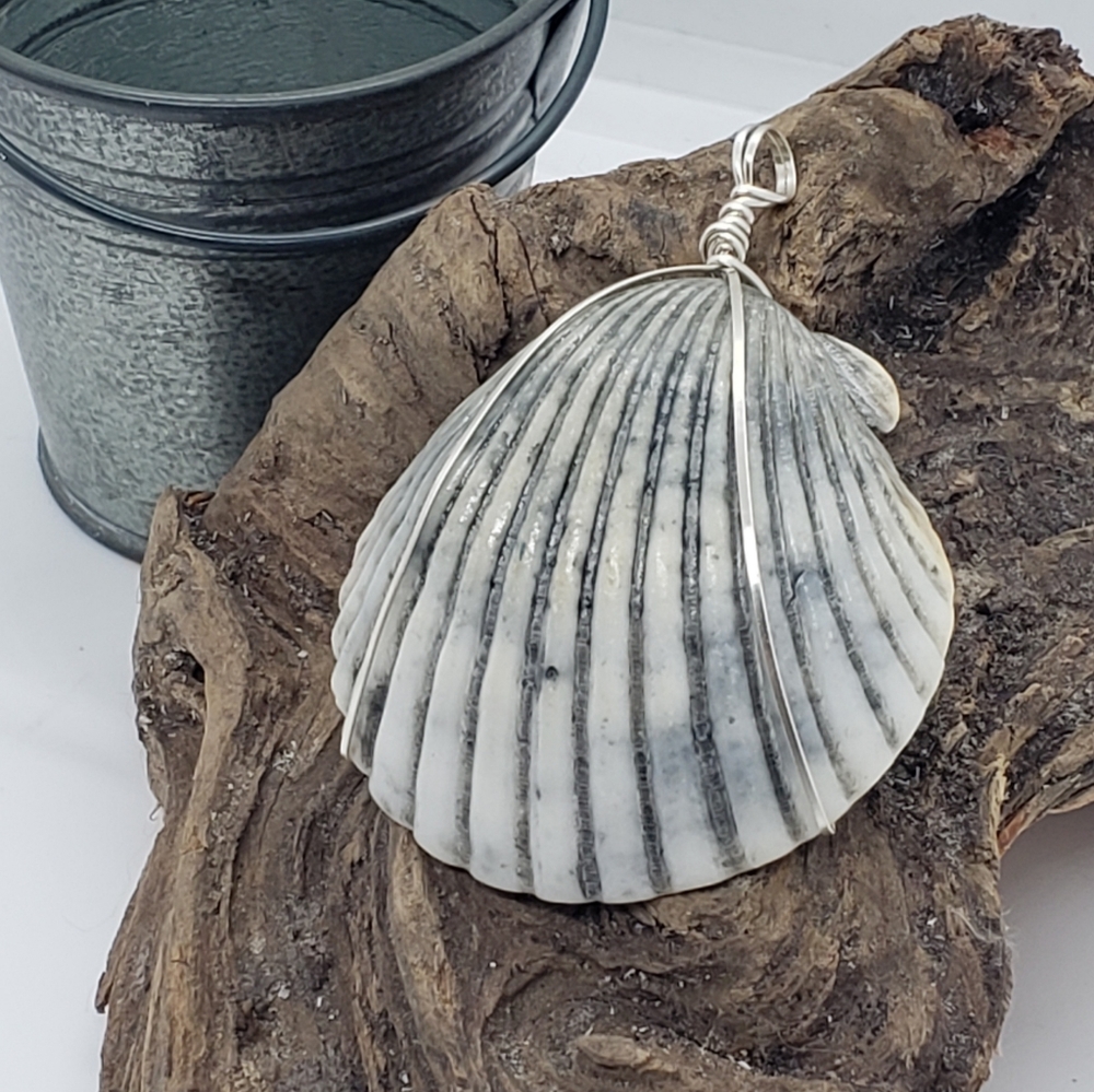 Wire Wrapped Scallop Shell Pendant - Picture 3 of 3